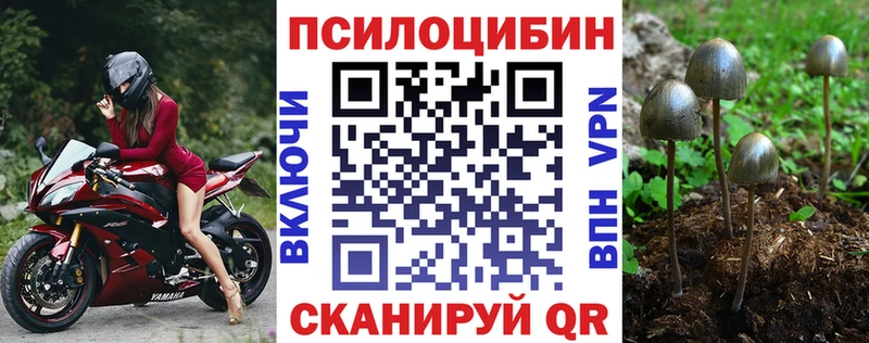 ссылка на мегу рабочий сайт  Туран  Псилоцибиновые грибы мицелий  купить  